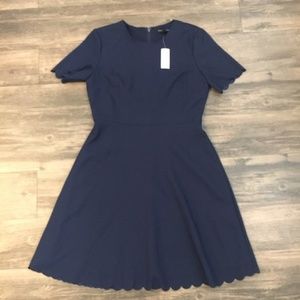 NWT Banana Republic Scalloped Dress